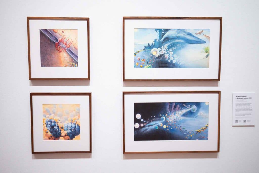 An install shot of Jason Chin's Your Place in the Universe exhibition at the Orlando Museum of Art