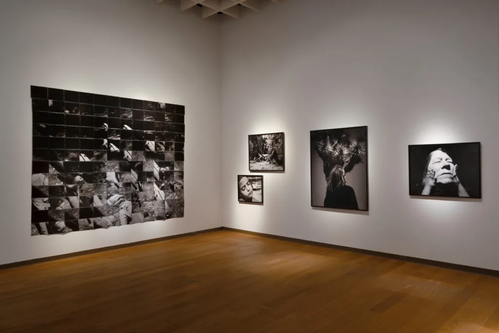 Rose Marie Cromwell Florida Prize 2026 installation black and white photography