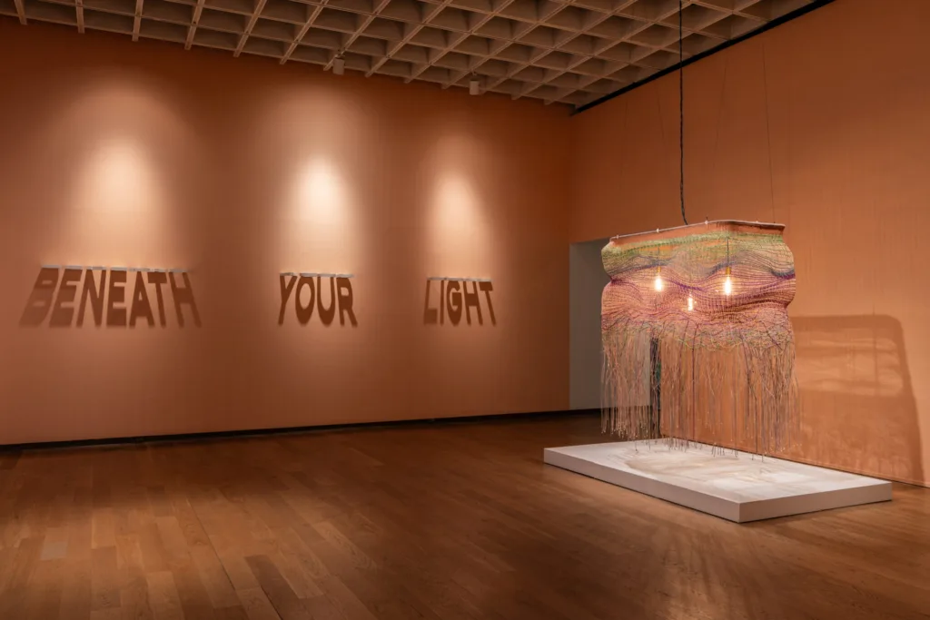 Jessy Nite Florida Prize 2026 installation