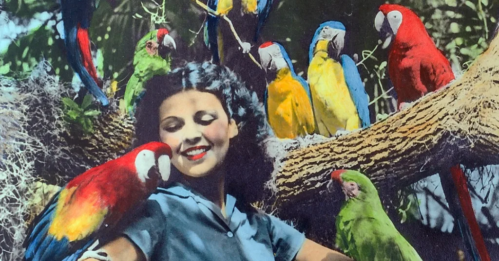 floridiana retro picture of woman with parrot on shoulder