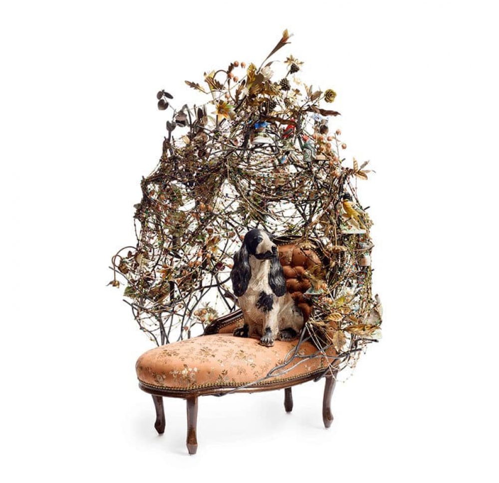 013_cave_rescue_2057_james_prinz_photography