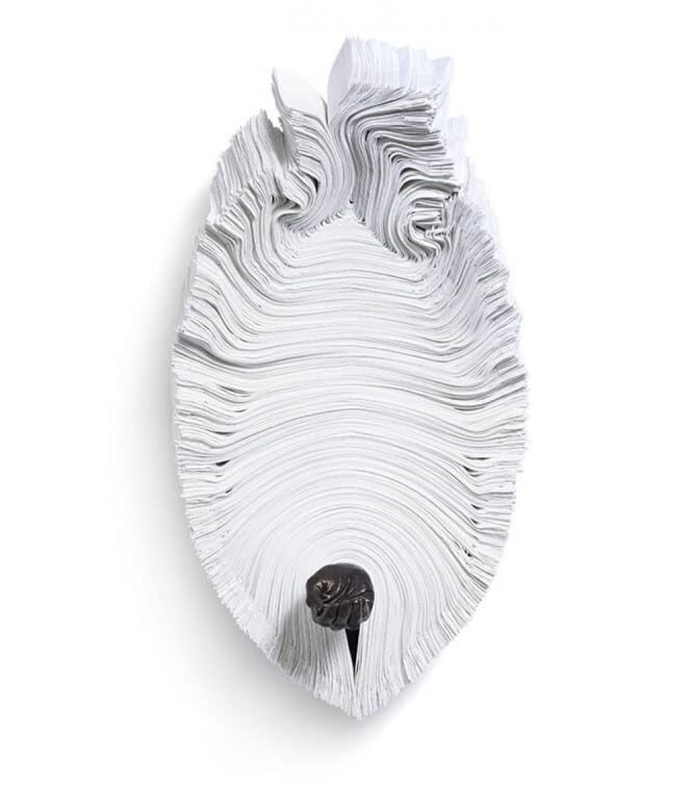 019_cave_untitled_2014_jamesprinzphotography