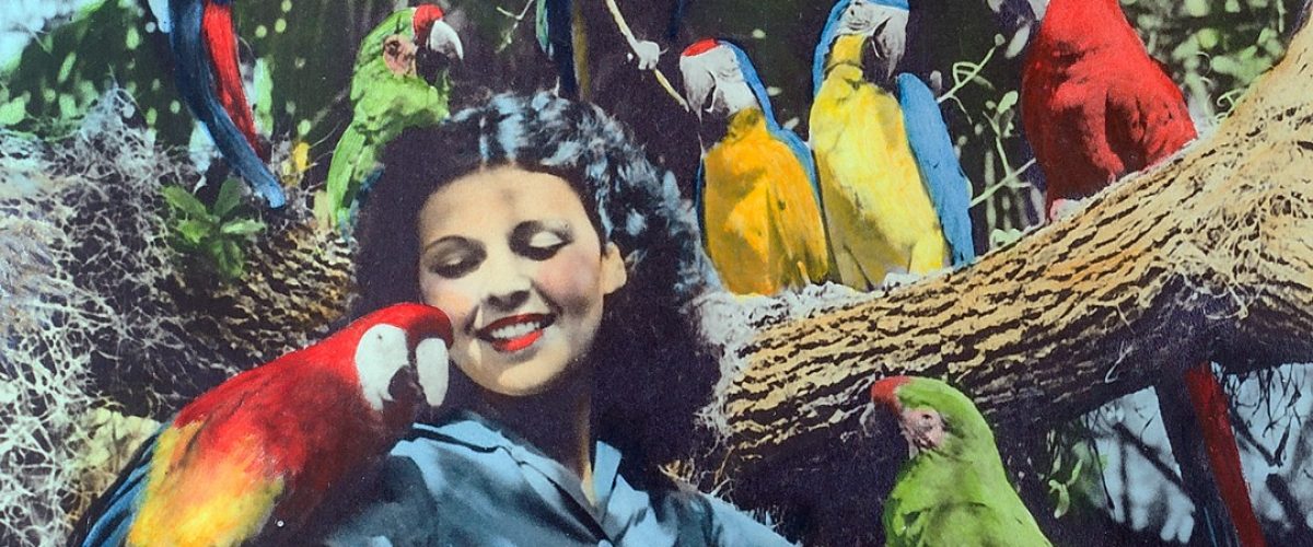 floridiana retro picture of woman with parrot on shoulder