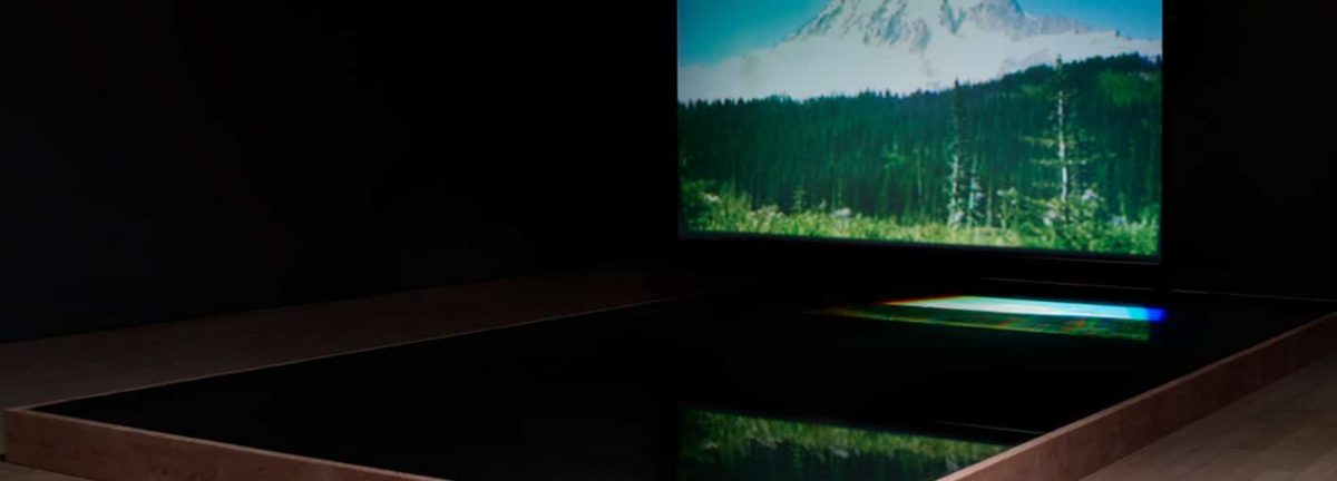 bill-viola-exhibition-banner