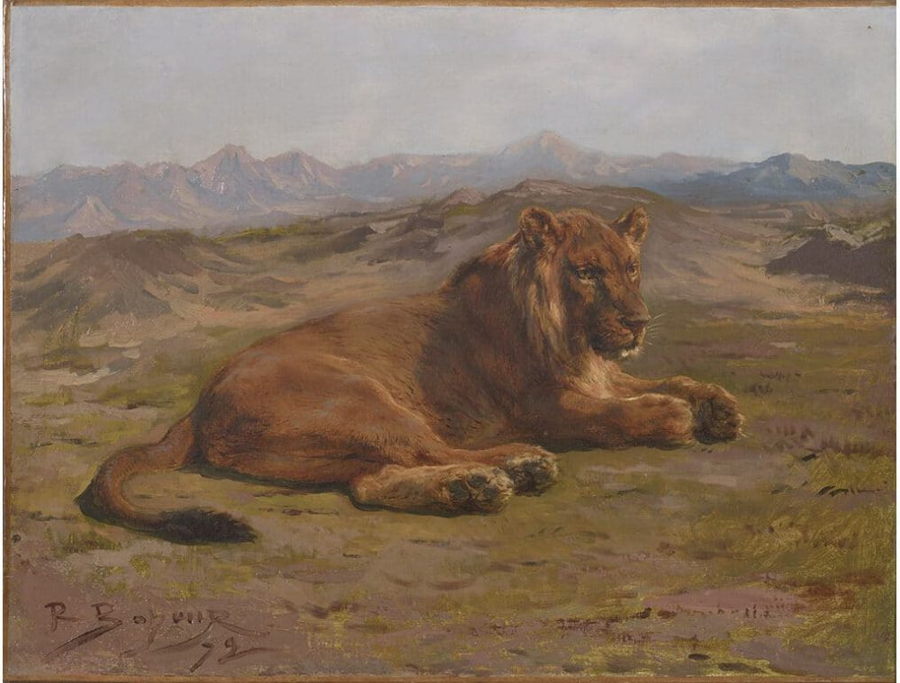 bonheur,_crouching_lion,_tr.2013.07