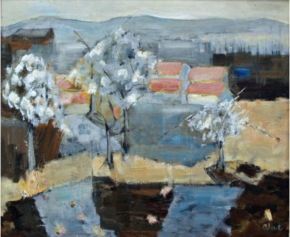 OLYMPUS DIGITAL CAMERA