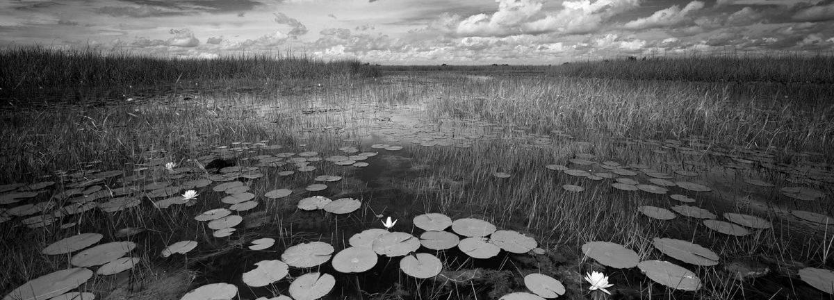 clyde_butcher,_loxahatchee_wildlife_refuge