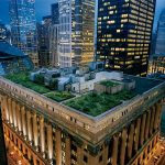 PERMITTED USE: This image may be downloaded or is otherwise provided at no charge for one-time use for coverage or promotion of the National Geographic exhibit "Women of Vision” and exclusively in conjunction thereof.  Copying, distribution, archiving, sublicensing, sale, or resale of the image is prohibited.

REQUIRED CREDIT AND CAPTION: Any and all image uses must  (1) be properly credited to the relevant photographer, as shown in this metadata, and (2) be accompanied by a caption that makes reference to the National Geographic exhibit "Women of Vision.”

DEFAULT: Failure to comply with the prohibitions and requirements set forth above will obligate the individual or entity receiving this image to pay a fee determined by National Geographic.
DIANE COOK
Thousands of grasses and plants were used to create Chicago City Hall’s award-winning rooftop.