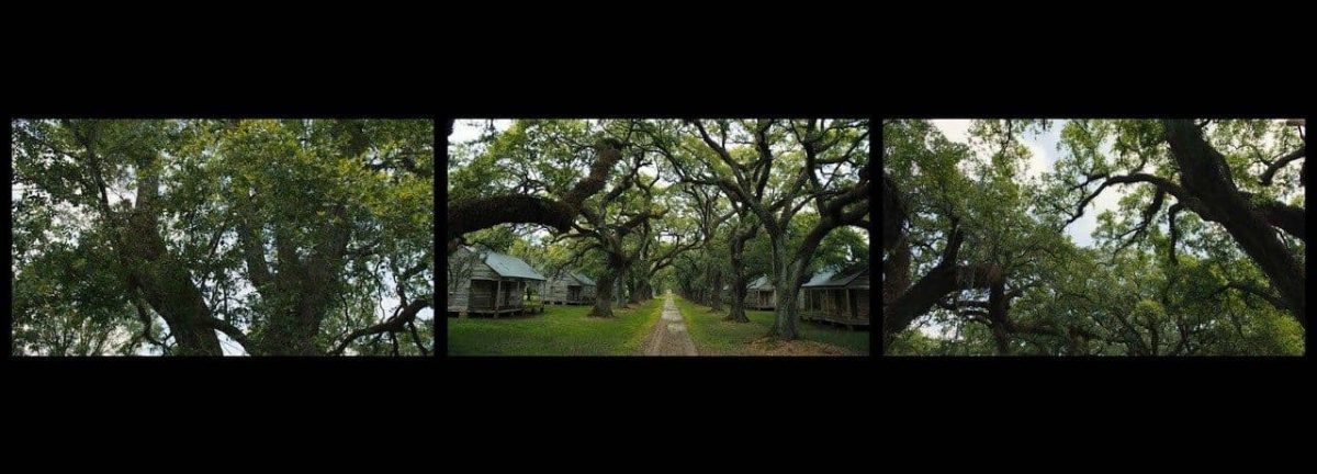 A view from Dawoud Bey's install