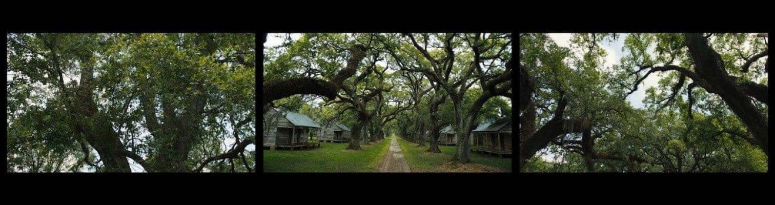 A view from Dawoud Bey's install