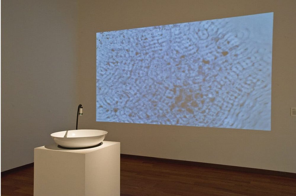 rm-flprz-8 rm-flprz-8